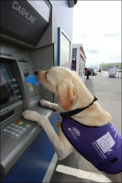 Monsieur, quelle diffrence y a-t-il entre ton GPS et ta femme ?