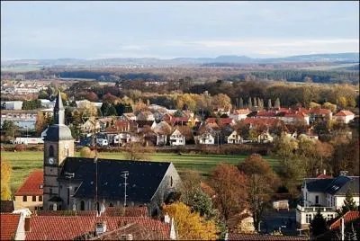 Votre tante Michle vous invite pour ses noces d'or, elle habite  Sarrebourg, c'est  dire :