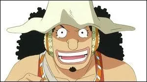 Il est devenu plus courageux (enfin presque), il a rejoint l'quipage de Luffy en 3me, il a t projet sur une le forestire o il est devenu trs gros, qui est-ce ?
