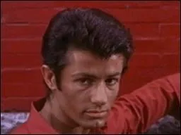 Qui est l'amoureuse de Bernardo ?