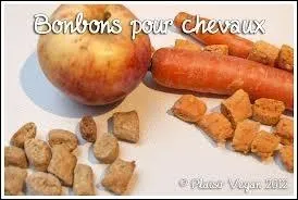 Pour un cheval vivant au pr et qui ne fait pas un travail rgulier, un repas :