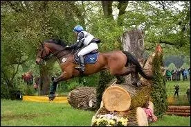 Quelles sont les initiales du  concours complet  ?