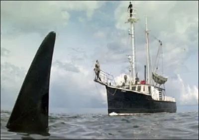 Quel est le petit nom de cet paulard port  l'cran par Michael Anderson en 1977 ?