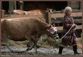 Quel danger menace dans  Lake Placid , un film sorti en 1999 ?