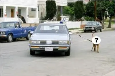 Qui est Hooch dans un film de 1989 avec Tom Hanks ?