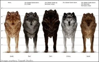 De quelle saga cinmatographique ces loups sont-ils issus ?