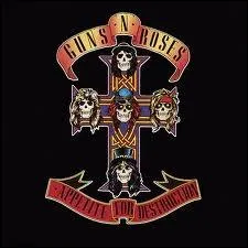 Avec 30 millions d'exemplaires,  Appetite for Desctruction  du groupe de hard rock Guns N' Roses bat tous les records de vente pour un premier album. Quelle chanson se trouve sur cet album ?