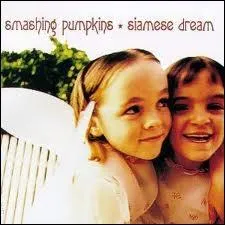 En 1993, les Smashing Pumpkins sortaient leur deuxime album  Siamese Dream  sur lequel on peut couter  Today ,  Disarm  ou encore...