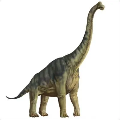 Quel est ce dinosaure ?