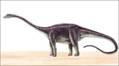 Quel est ce dinosaure ?