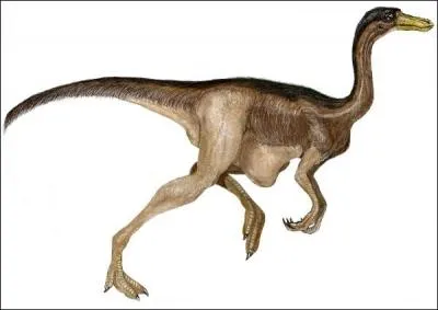 Quel est ce dinosaure ?