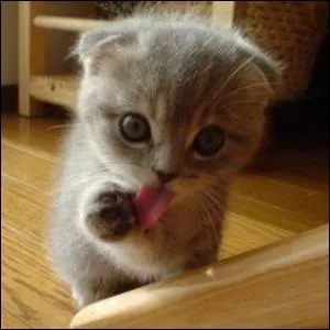 C'est  lui que vous la donnerez si vous ne trouvez pas la solution !