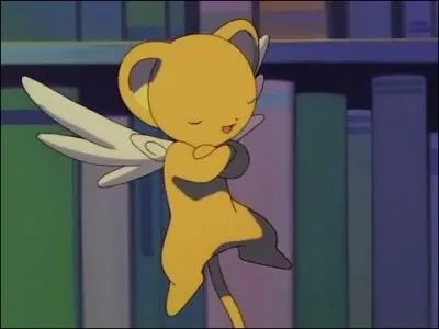 Comment s'appelle le gardien des cartes ?