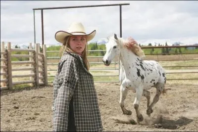 Quelle est la particularit de ce cheval ?