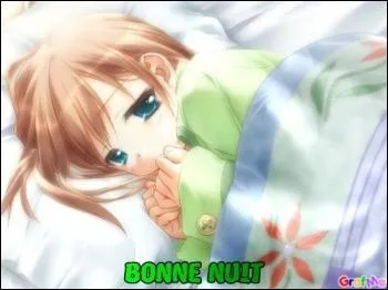 Comment dit-on  bonne nuit  ?