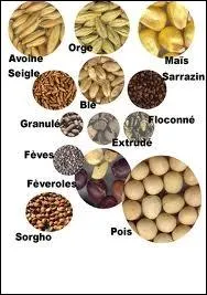 Quelle sont les deux grandes catgories d'aliments ?