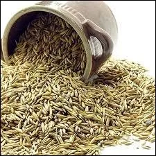 Je suis un grain jaune et dur distribu aplati, concass ou dtremp. Que suis-je ?