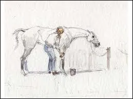 Pourquoi faire un pansage complet aprs un exercice physique ?