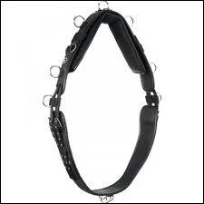 A quoi sert le surfaix  pont lors des transports ?