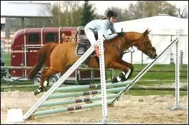 Comment se nomme cet obstacle ?