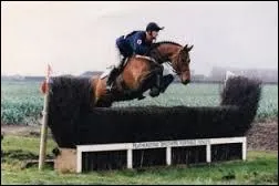 Comment se nomme cet obstacle ?