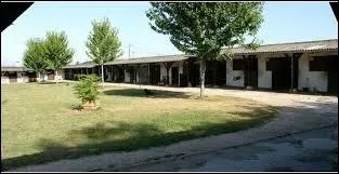 Je suis un local clos, en partie ou totalement couvert et relativement grand pour que plusieurs chevaux soient hbergs. Que suis-je ?