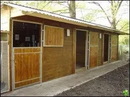 Quel est le plus petit local o l'on peut hberger un cheval ?
