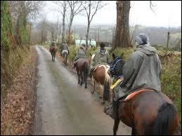 Toujours en extrieur, quand on se balade sur une route, que faut-il faire ?