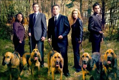 Quelle est cette srie policire ?