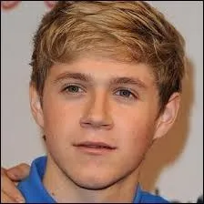 De quelle ville est originaire Niall ?