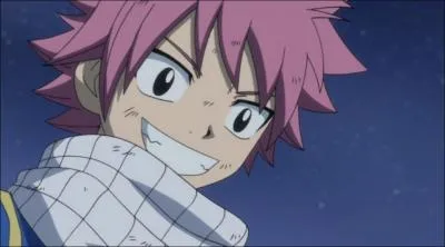 Qui aime Natsu ?