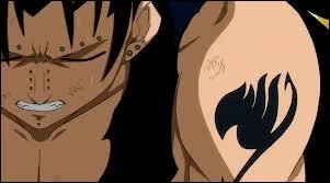Qui aime Gajeel ?
