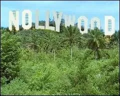 Quel est le rang mondial du cinma nigrian ?