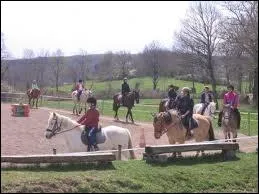 Quelle est la distance  respecter entre les chevaux ?