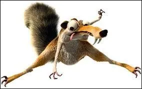 Qui est l'cureuil qui recherche toujours sa noisette ?