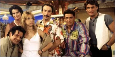 Qui sont les animateurs dans "Les Garçons de la Plage" ?
(+3 réponses)