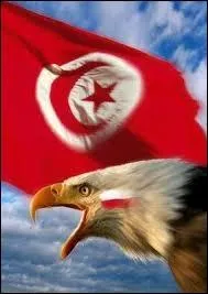 Quelle est la langue officielle de la Tunisie ?