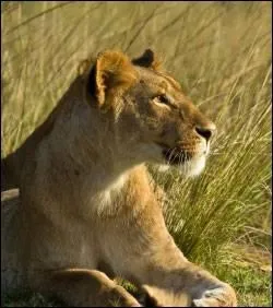 Si vous aimez les noms farfelus, ce n'est pas le meilleur mais la commune de Sens se trouve dans :