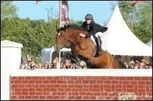 Cet obstacle peut tre trs haut :