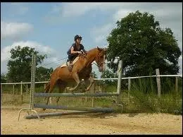 Celui-l est trs facile :