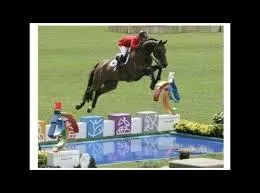 Comment s'appelle cet obstacle ?