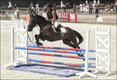 Un peu pareil que celui d'avant :