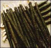 Sais-tu comment se nomme ce lgume ?