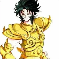 Je suis le Chevalier du Phnix. Qui suis-je ?