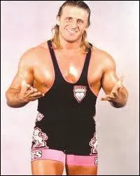 Avec lequel de ces catcheurs le regrett Owen Hart a-t-il remport  deux reprises le championnat par quipe  la WWE ?