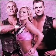 Lequel de ces catcheurs ne fait pas partie de  The Hart Dynasty  ?