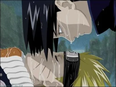 De quel manga vient cette image ?