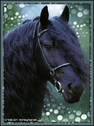 La mre de Lisa lui achte un cheval, elle ne le veut pas. Lequel et pourquoi ?