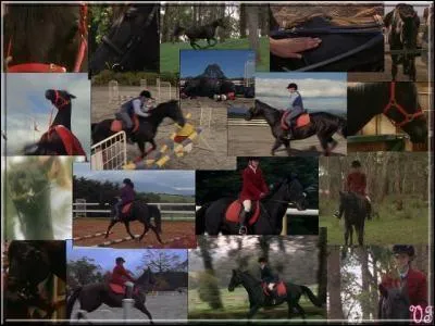 Qu'est-il arriv  Cobalt ?