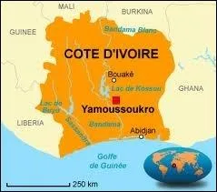 L'indpendance de la Cte d'Ivoire fut octroye par la France.